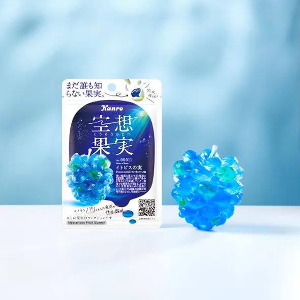 イトピスの実 パッケージ＆実物